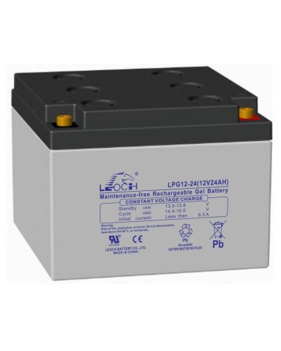 LEOCH LPG 12-24. Аккумулятор герметичный свинцово-кислотный. LEOCH в Орле