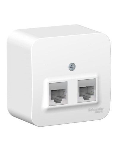 BLANCA розетка RJ11+RJ45, 2-местная, кат. 5Е, открытой установки, белый (BLNIA045111). Розетка компьютерная + телефонная с изолированной пластиной. Systeme Electric в Орле