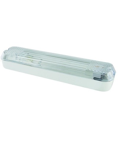 ДПБ 01-2х6-001 12 Вт, LED, 1000 лм, 4000 К, IP40. Светильник вандалоустойчивый . TDM ЕLECTRIC в Орле