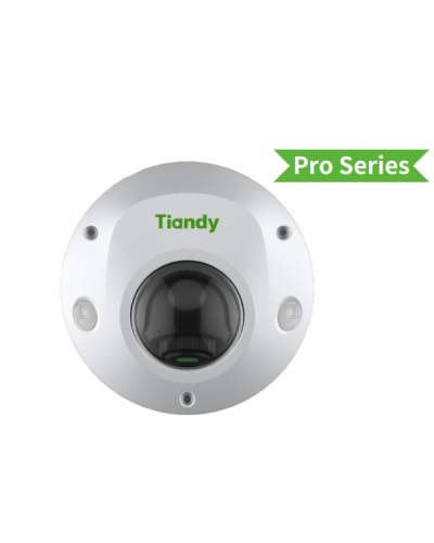 TC-C32PS I3/E/Y/M/H/2.8/V4.2. Видеокамера IP купольная. Tiandy в Орле