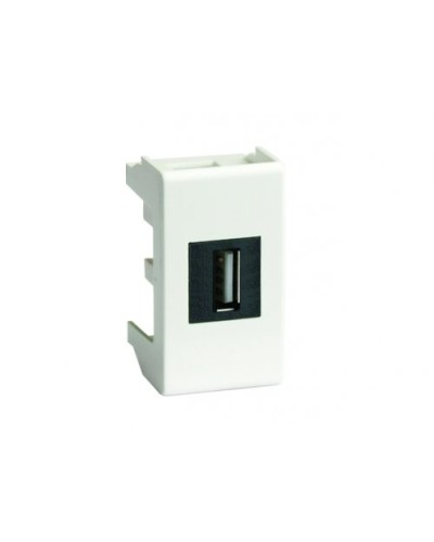 Розетка USB 2.0 Brava 1 модуль слоновая кость (75200S): Розетка USB в Орле